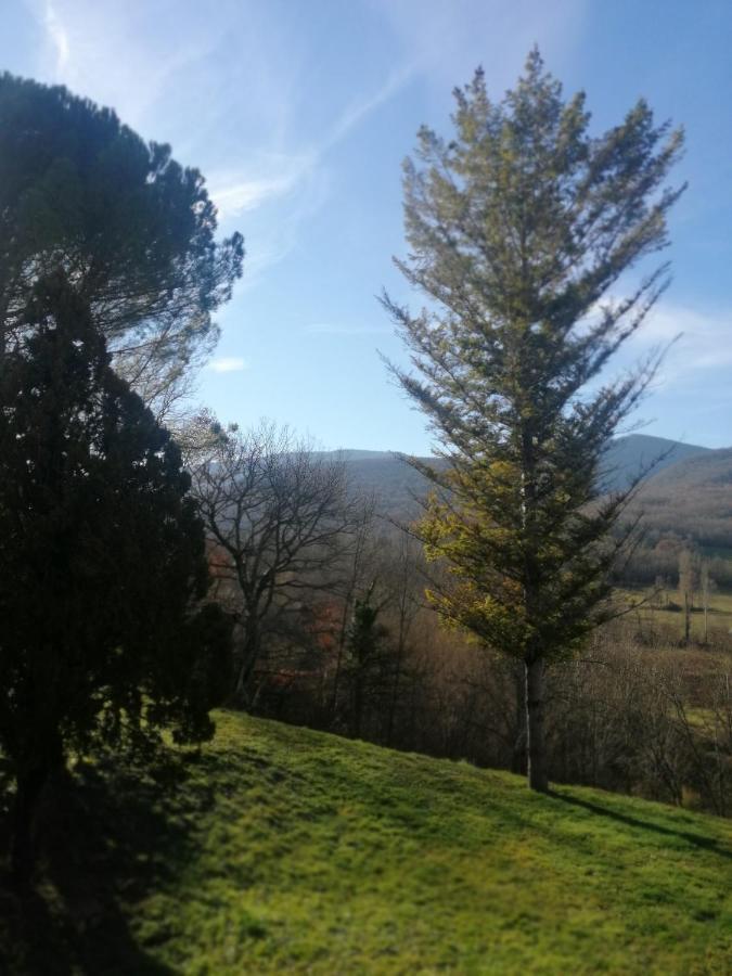 Location De Vacances A Neylis Avec Vue Sur Les Forets Et Les Champs Carla-de-Roquefort Luaran gambar